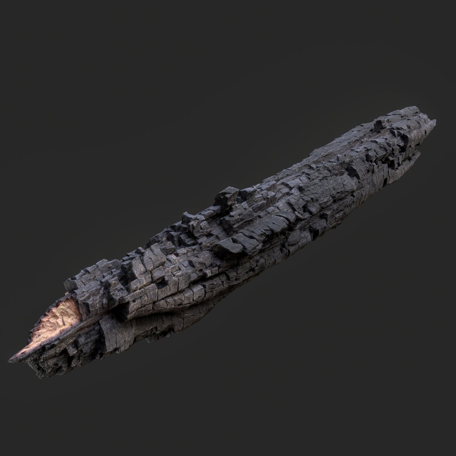 3D Charred Tree Trunk