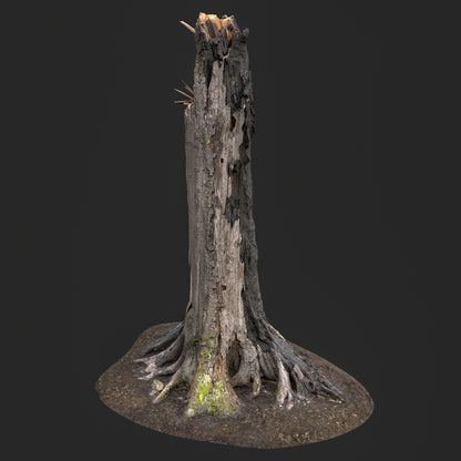 Burned tree trunk 3D model with charred bark, cracked blackened wood, and exposed roots, photogrammetry-scanned and optimized for realistic game environments.