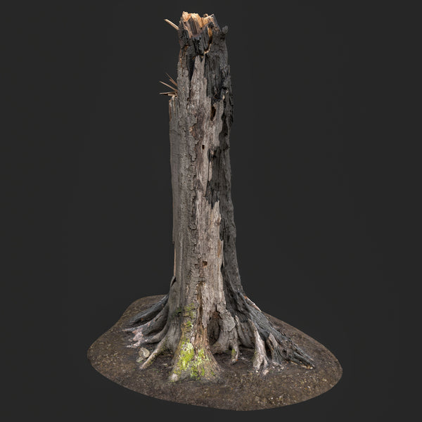 Burned tree trunk 3D model with charred bark, cracked blackened wood, and exposed roots, photogrammetry-scanned and optimized for realistic game environments.