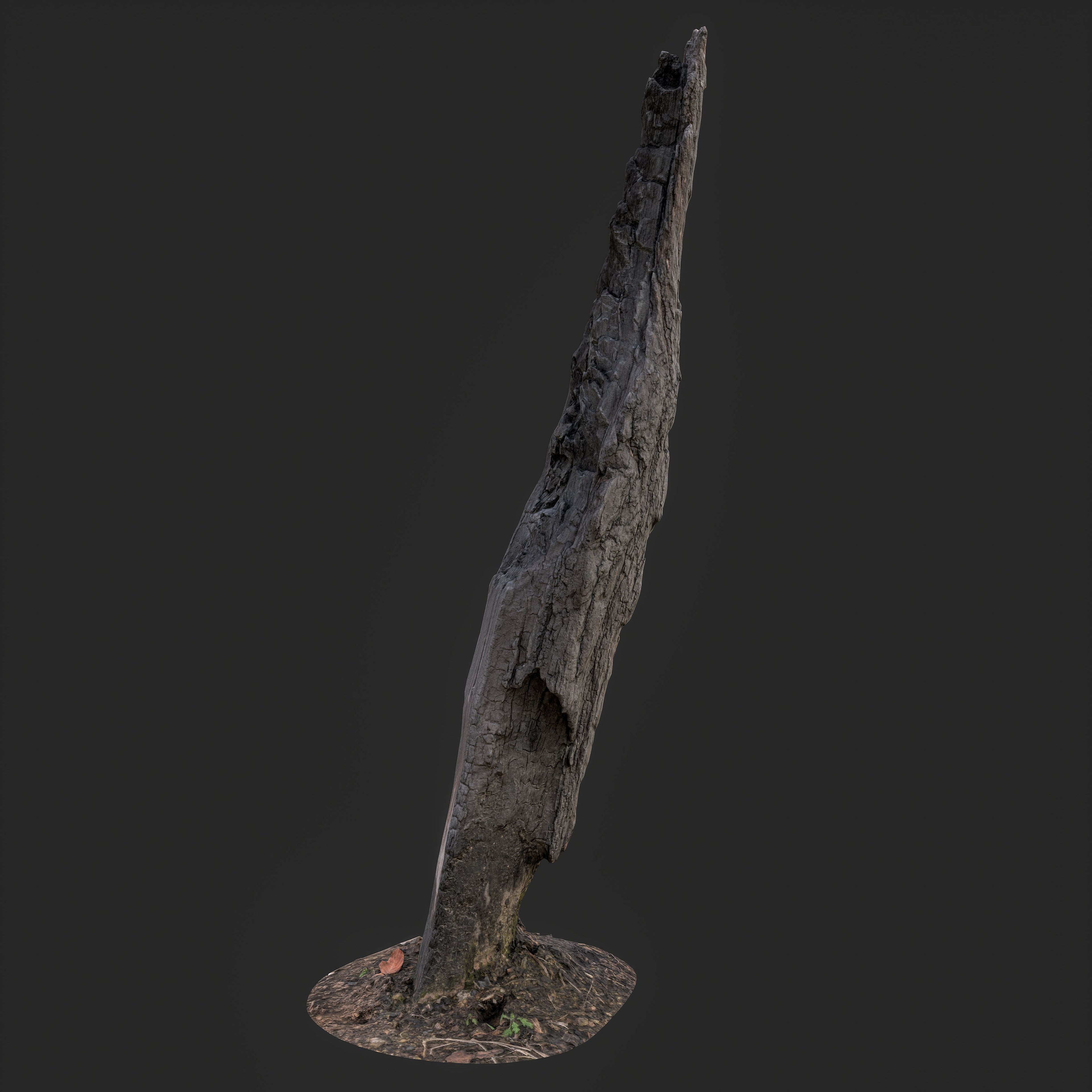 3D Charred Tree Trunk
