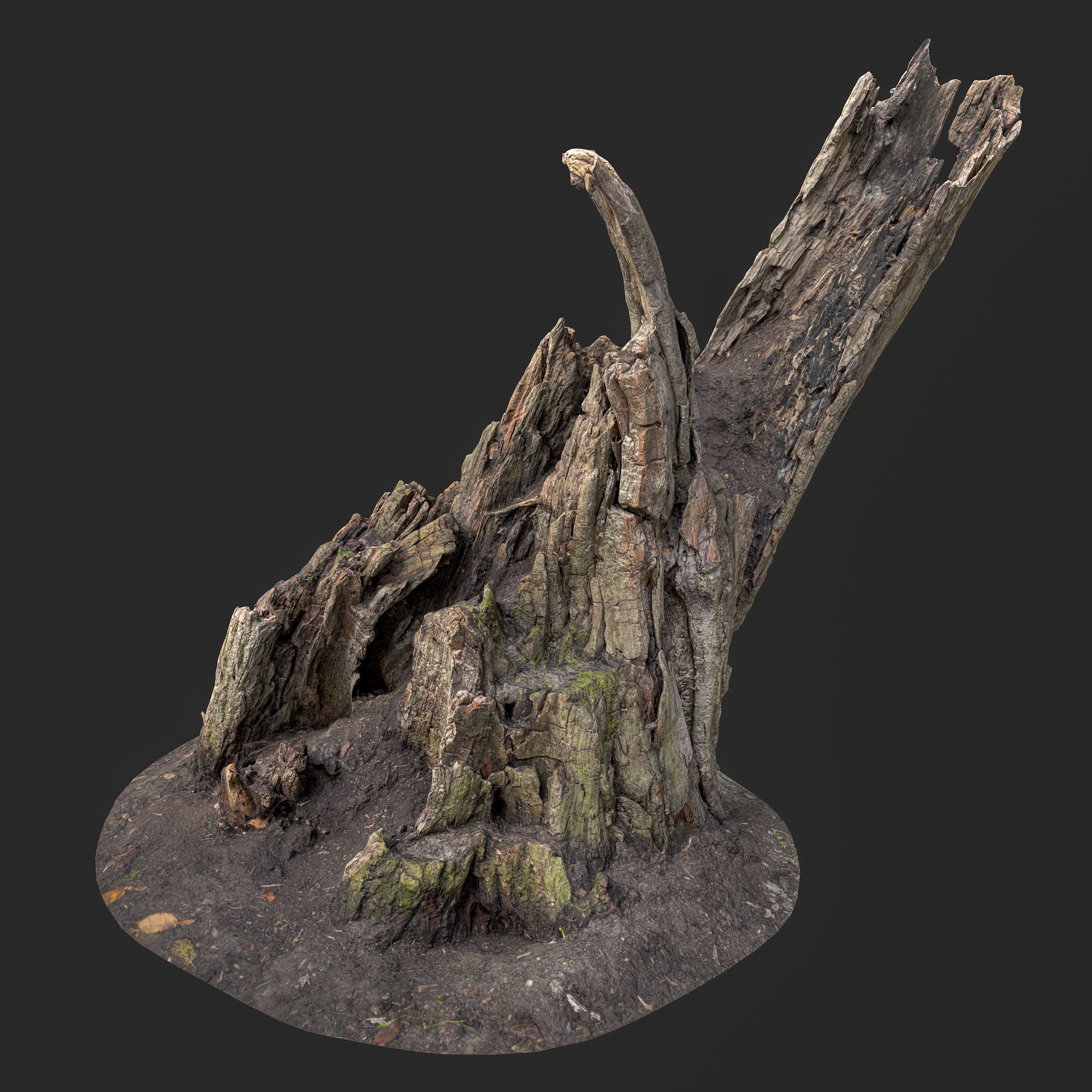 Weathered Tree Stump 3D Model - Game & VFX Asset | VR4D