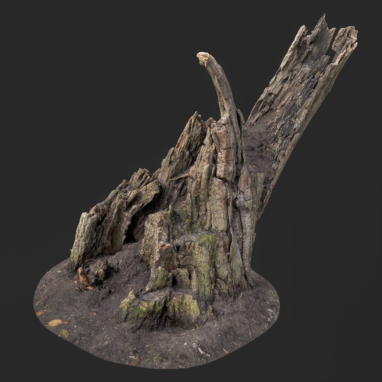 Real-world scanned 3D model of a weathered tree stump with exposed roots, optimized for game development and cinematic environments