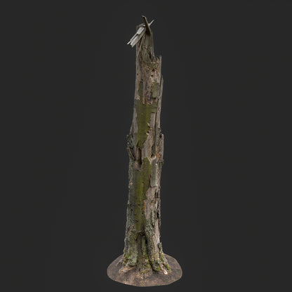 3D model of a tall weathered dead tree trunk with cracked bark and aged wood texture on forest ground, optimized for games and cinematic environments