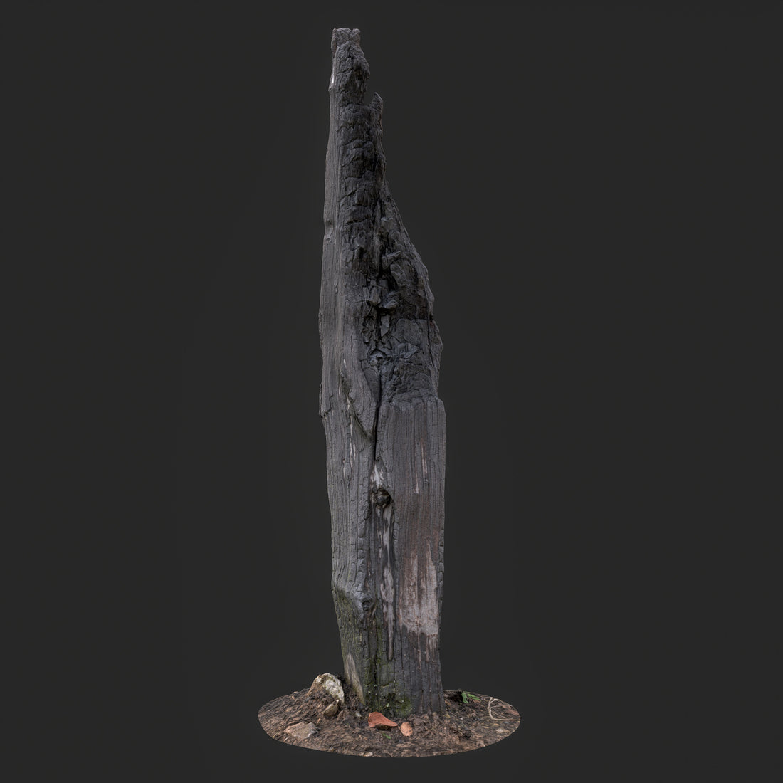 3D model of a Charred Tree Trunk with cracked bark, and natural ground base, optimized for game development and cinematic VFX.