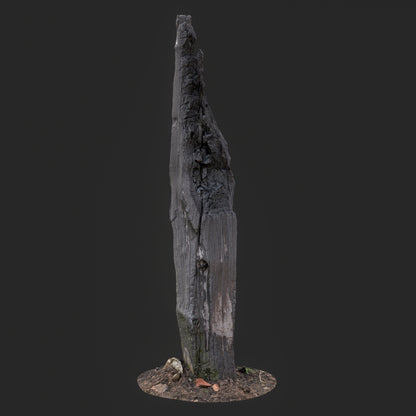 3D model of a Charred Tree Trunk with cracked bark, and natural ground base, optimized for game development and cinematic VFX.