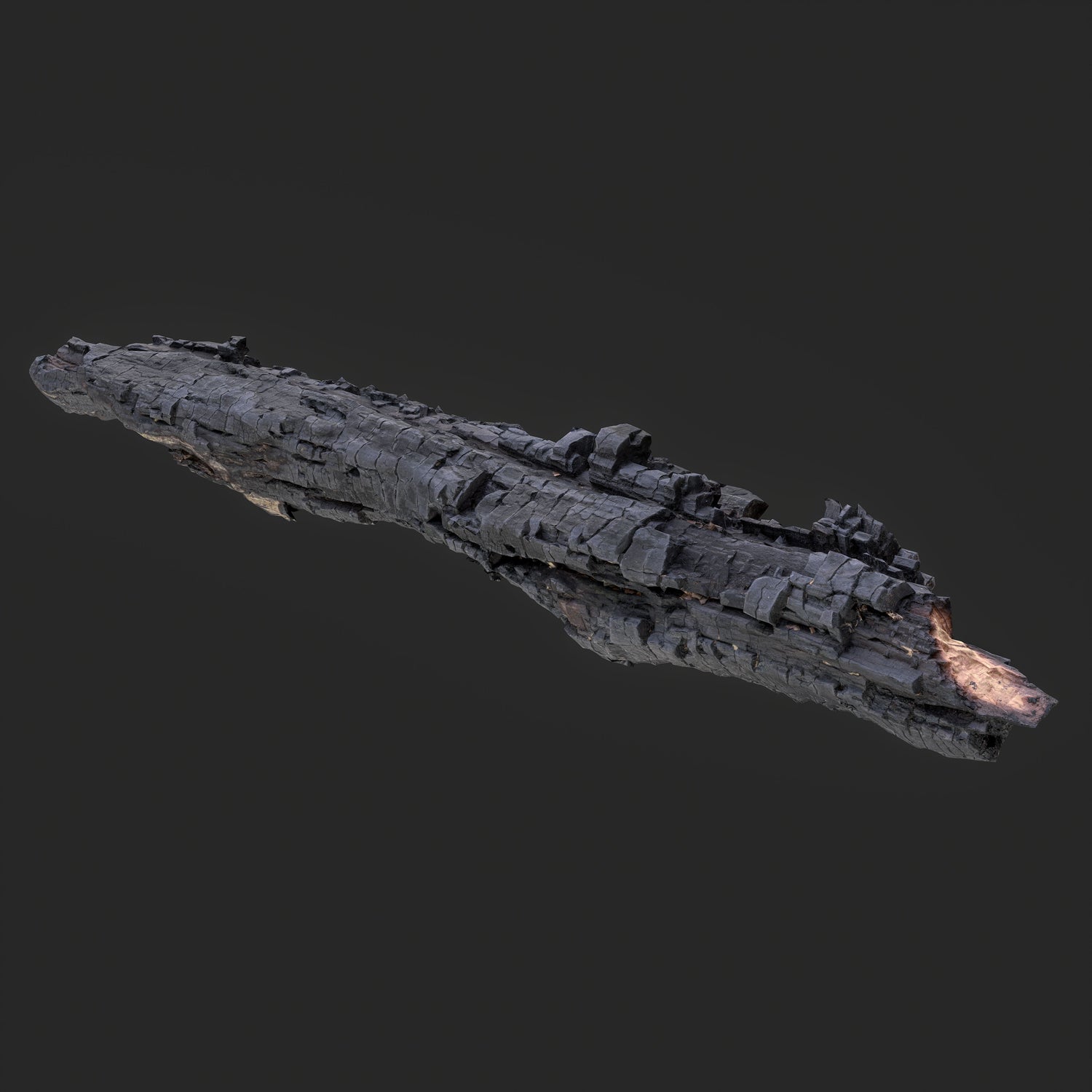 3D Charred Tree Trunk