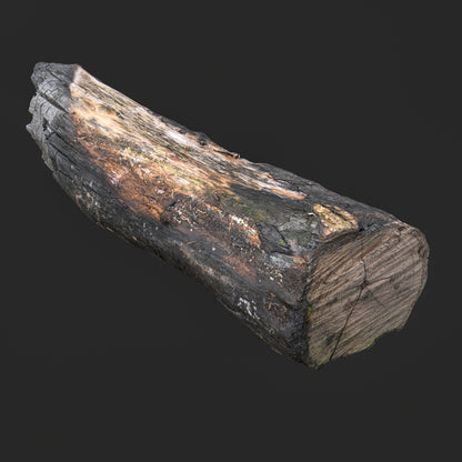 3D Burned Tree Log