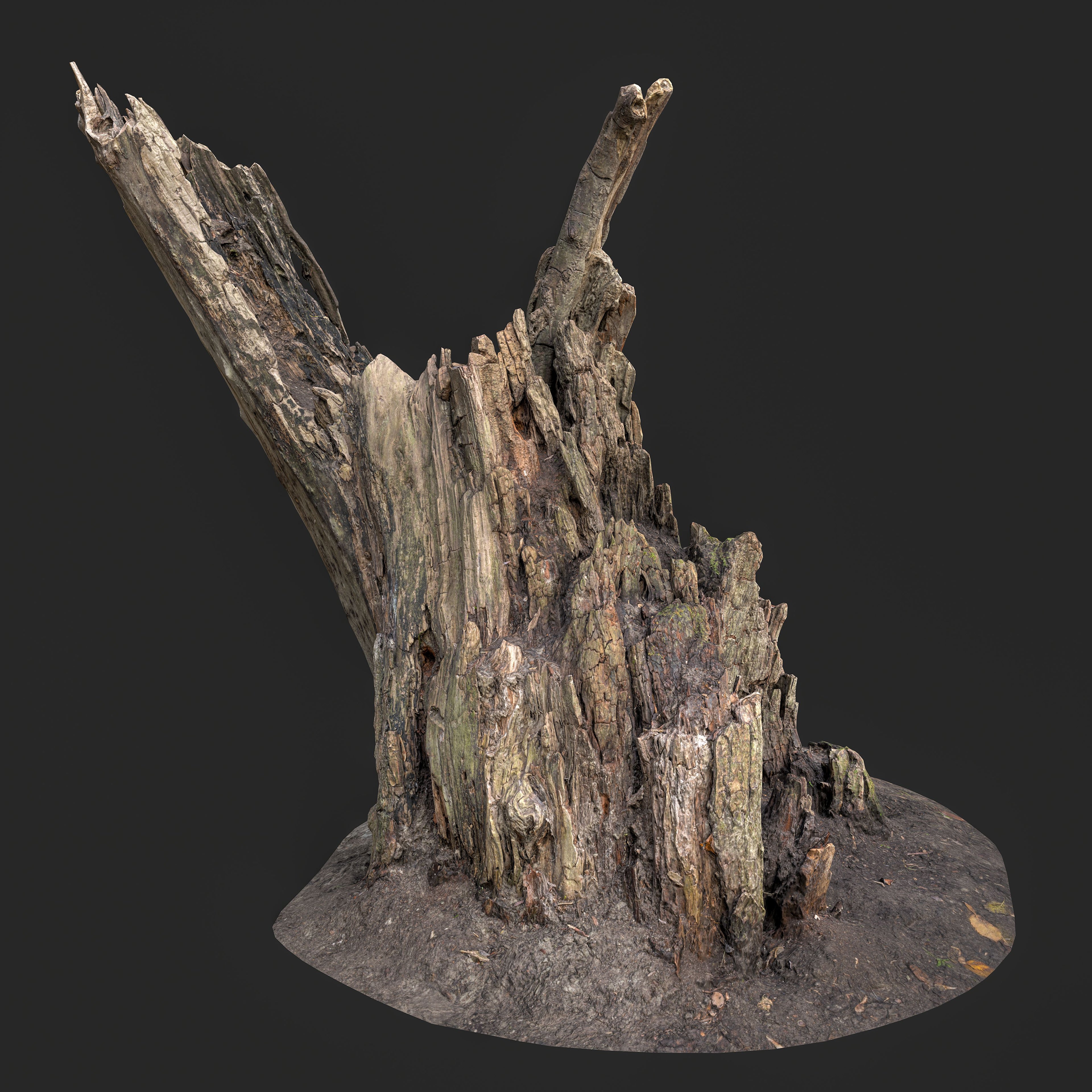 3D Weathered Tree Stump with Exposed Roots