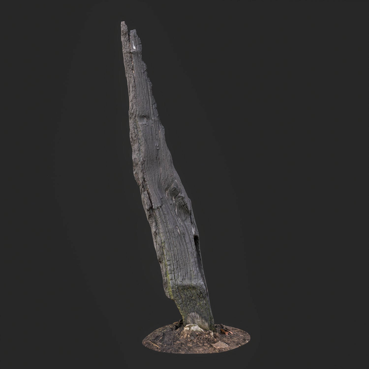 3D Charred Tree Trunk