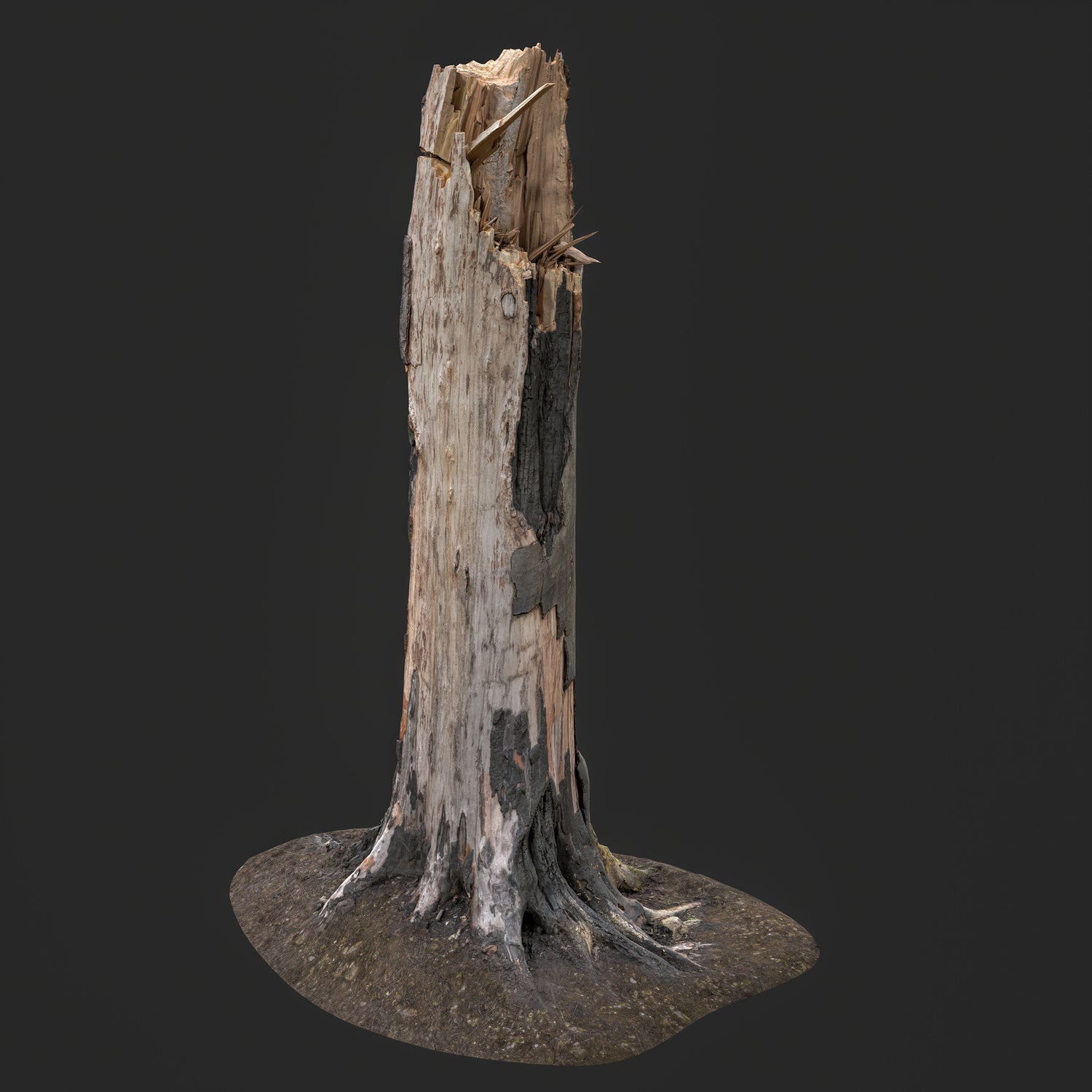 3D Burned Tree Trunk