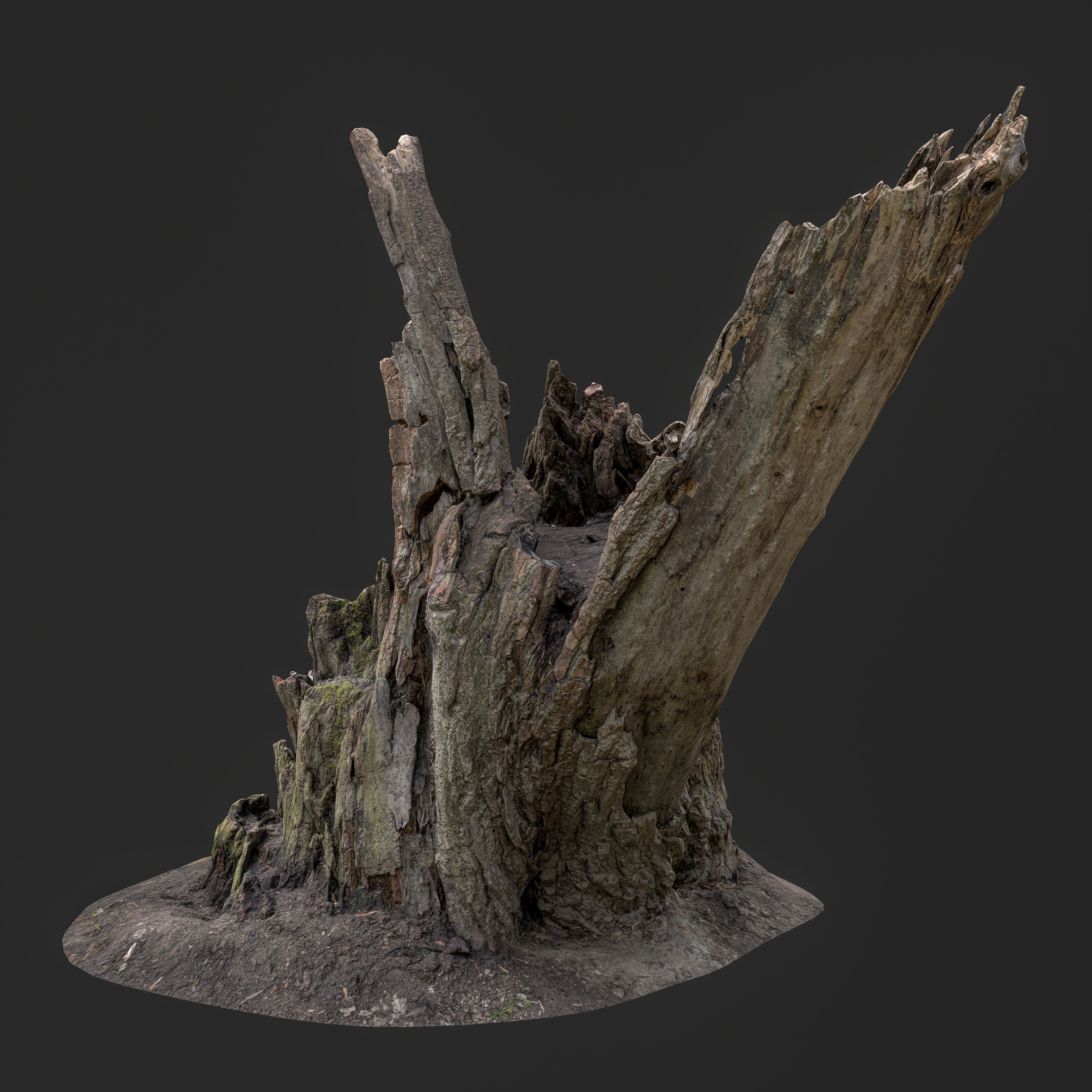 3D Weathered Tree Stump with Exposed Roots