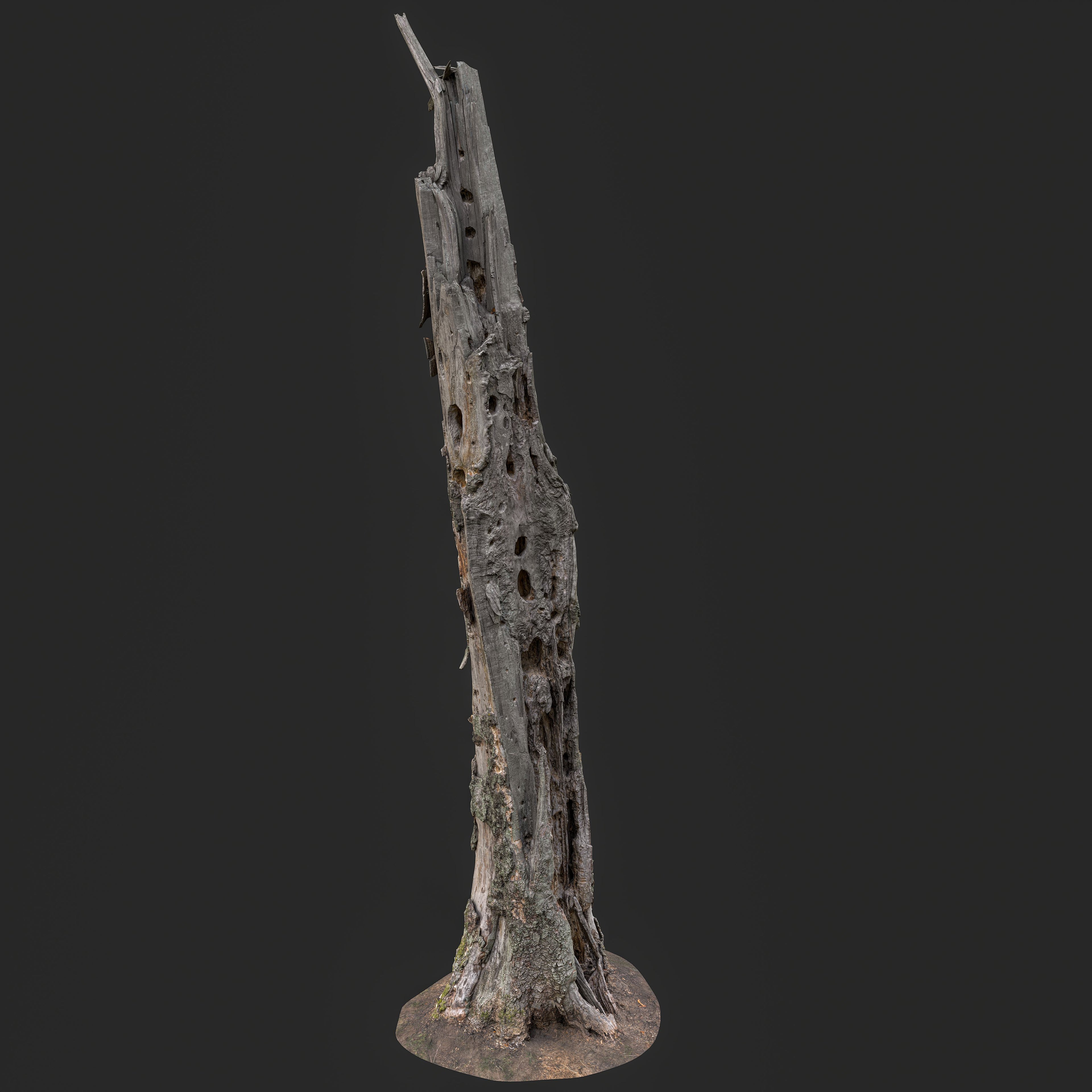 3D Weathered Dead Tree Trunk