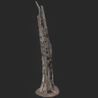 3D Weathered Dead Tree Trunk