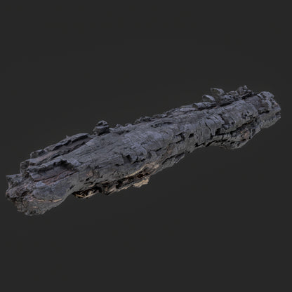3D Charred Tree Trunk
