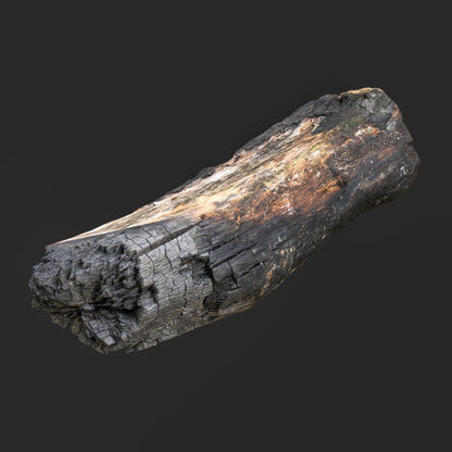 3D Burned Tree Log