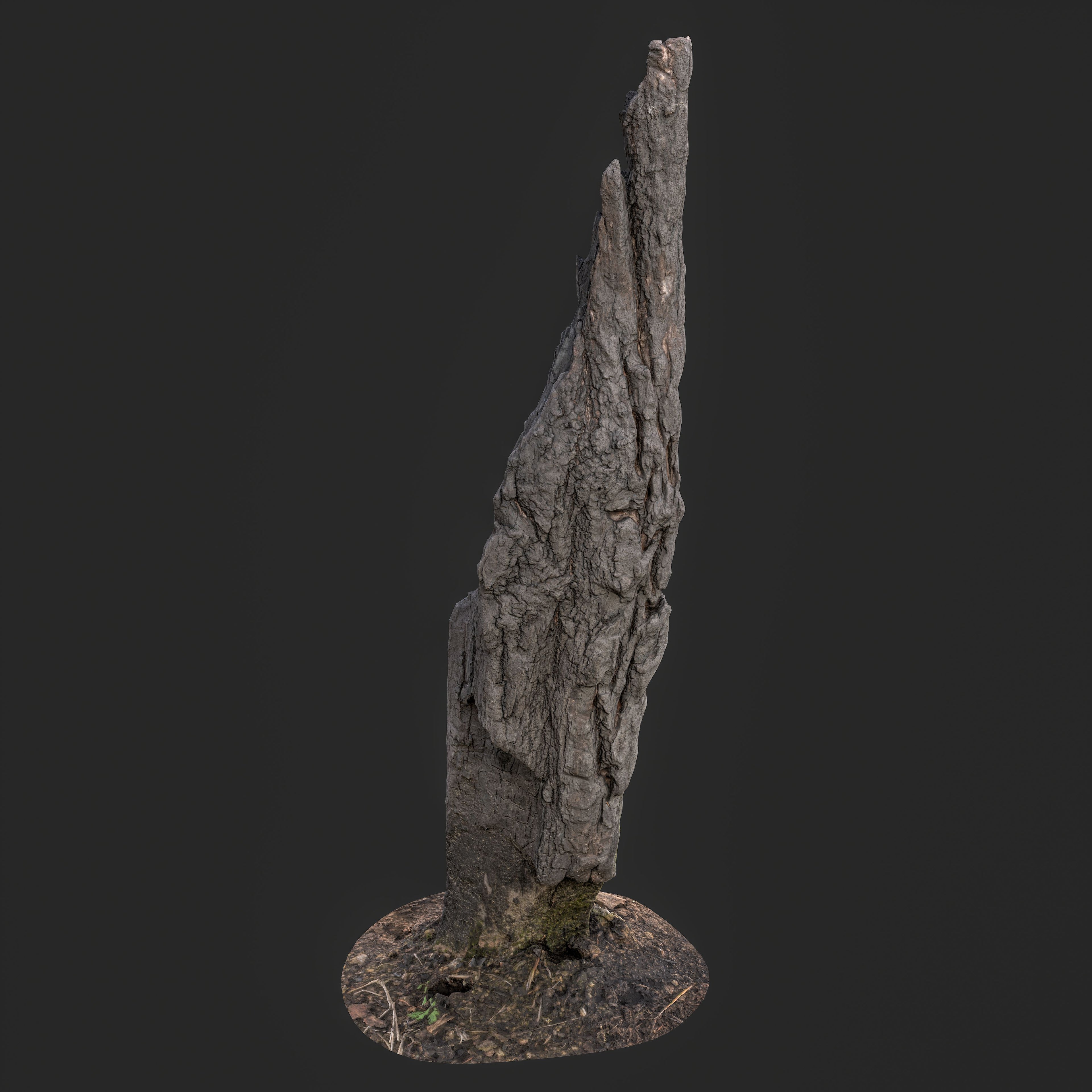 3D Charred Tree Trunk