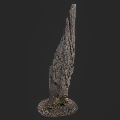 3D Charred Tree Trunk