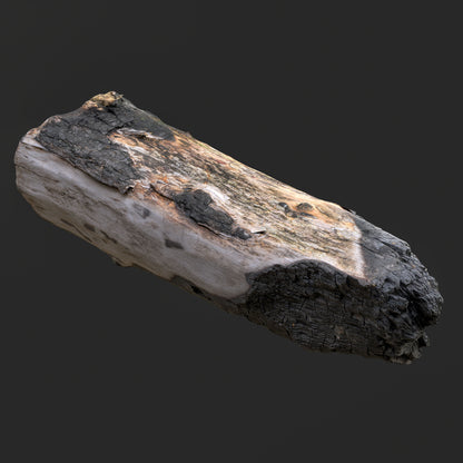 3D Burned Tree Log