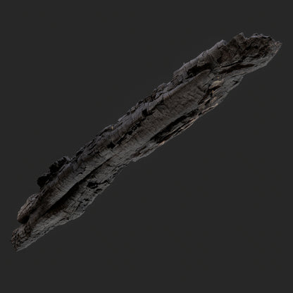 3D Charred Tree Trunk