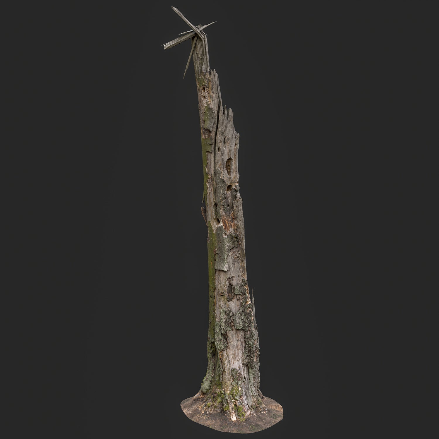 3D Weathered Dead Tree Trunk