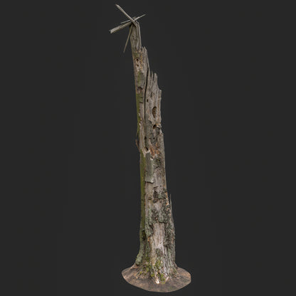 3D Weathered Dead Tree Trunk