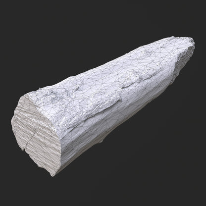 3D Burned Tree Log